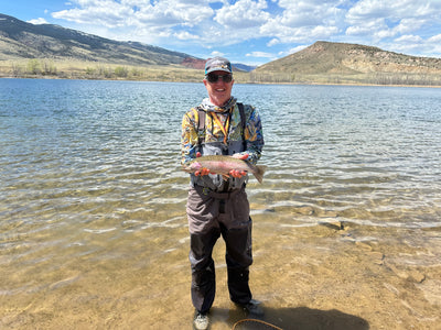 Spring rainbows in Newton Lake near Cody Wyoming