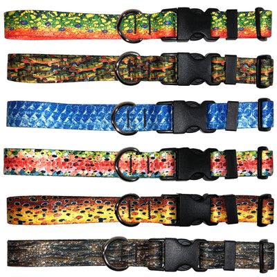Brook Trout2 Dog Collar