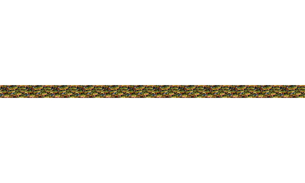 Peacock Bass Dog Collar