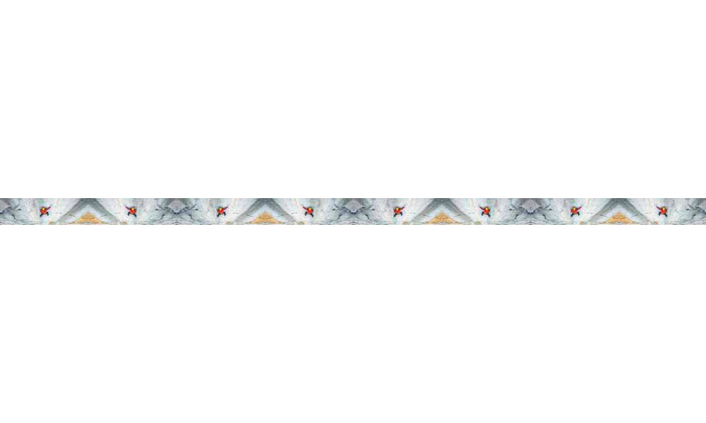Mountaincognito Big Wall Dog Leash