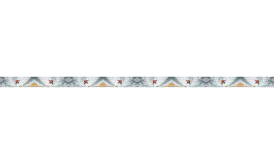 Mountaincognito Big Wall Dog Leash