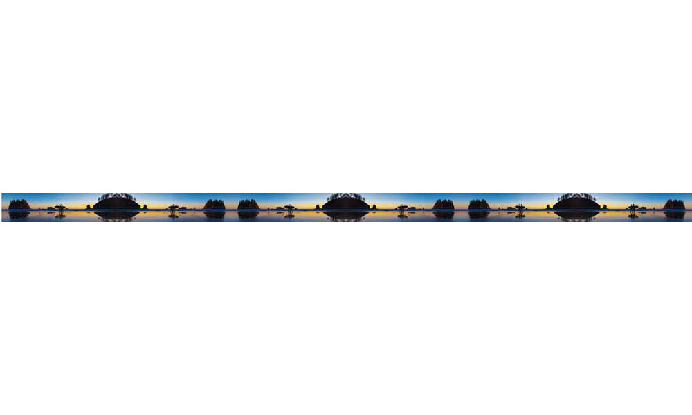 Mountaincognito Two Surfers Dog Collar